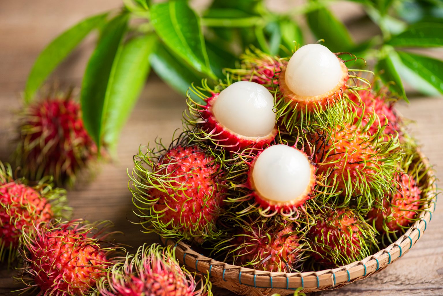 Rambutan: The Uniquely Hairy Tropical Fruit