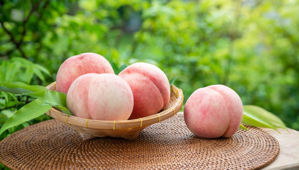 China Pearl Peach One Of China's Most Popular Fruits