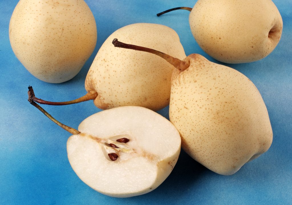 Chinese White Pears A Mild And Crunchy Pome Fruit
