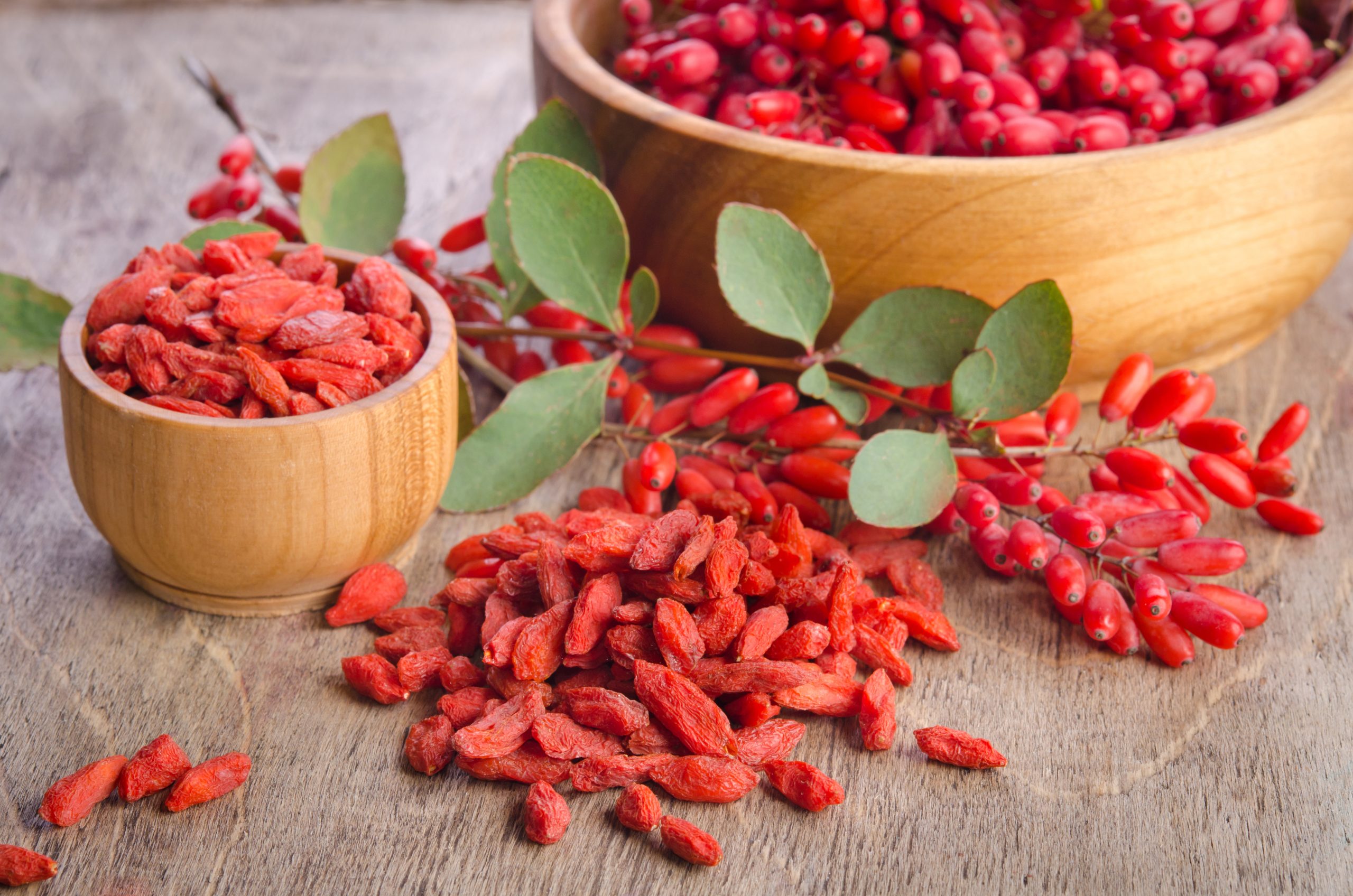 Goji Berries A Southeast Asian Superfruit Goji Berries A Southeast Asian Superfruit