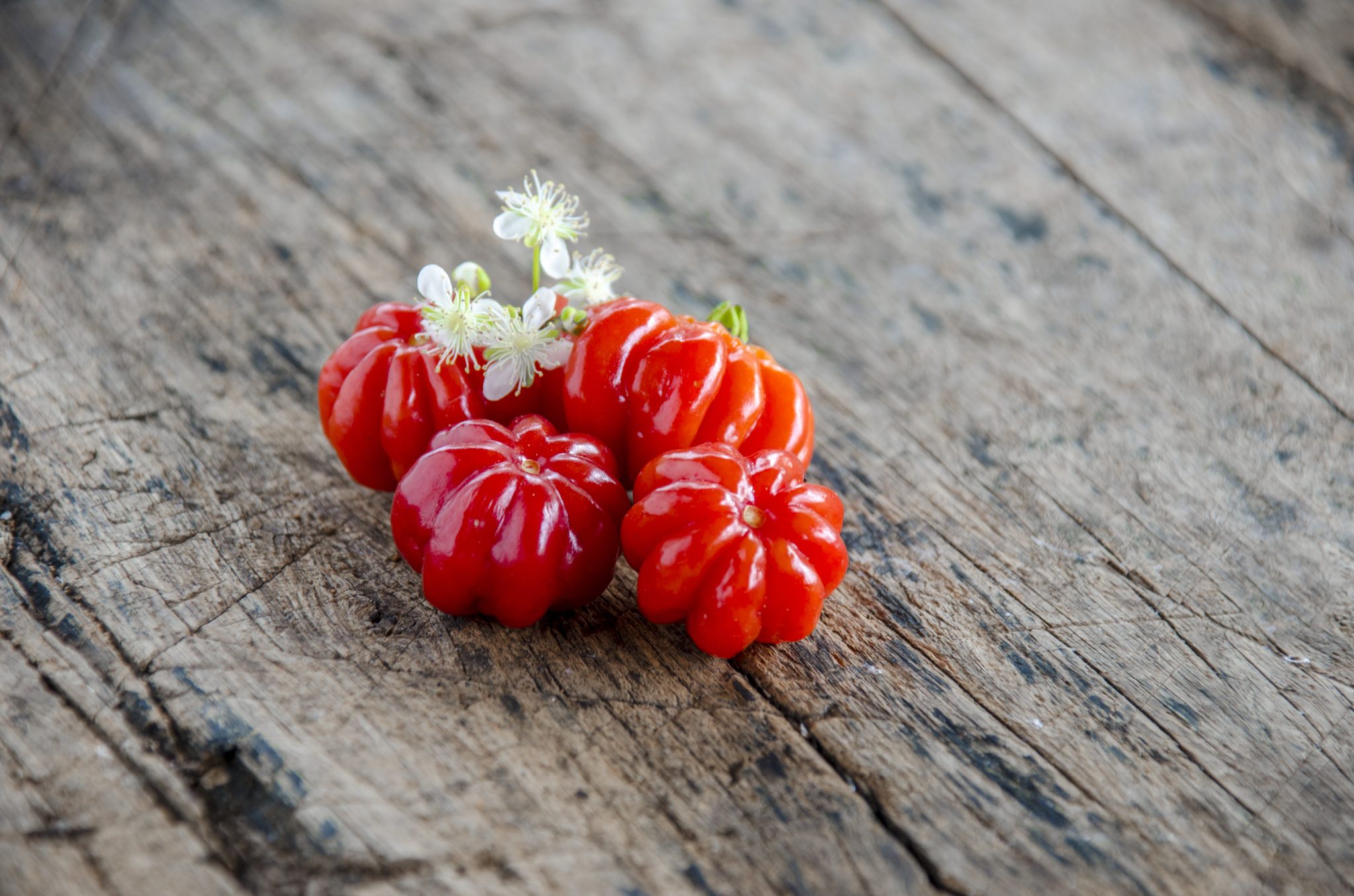 Everything You Need To Know About Brazilian Cherries