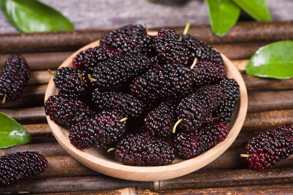 Everything You Need To Know About Mulberries