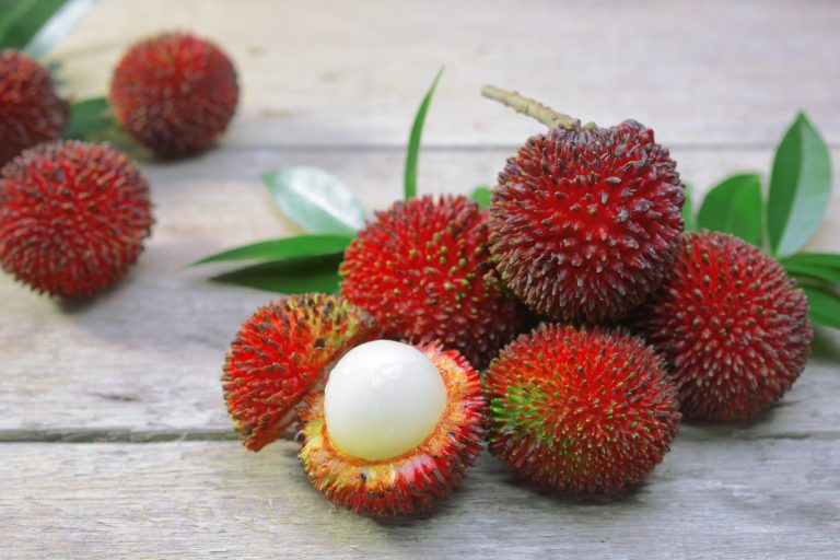 Pulasan Tree Roots Pulasan: The Sweeter Relative Of Rambutan | Exotic Gourmand