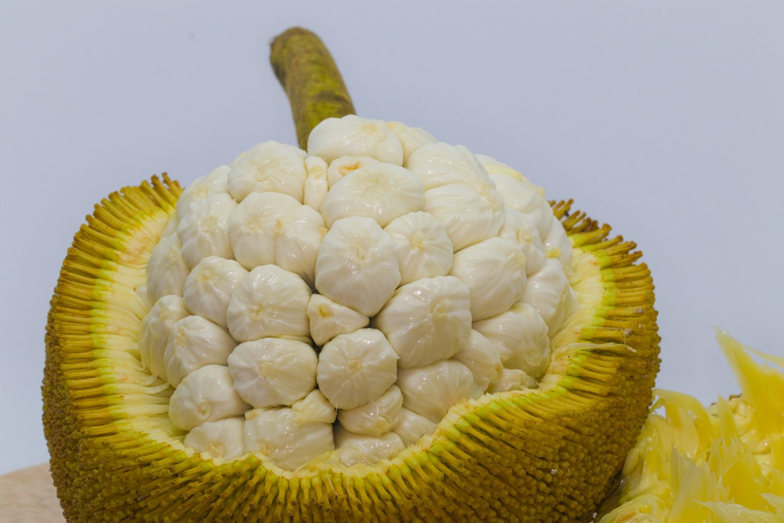 Marang A Pungent But Delicious Tropical Fruit