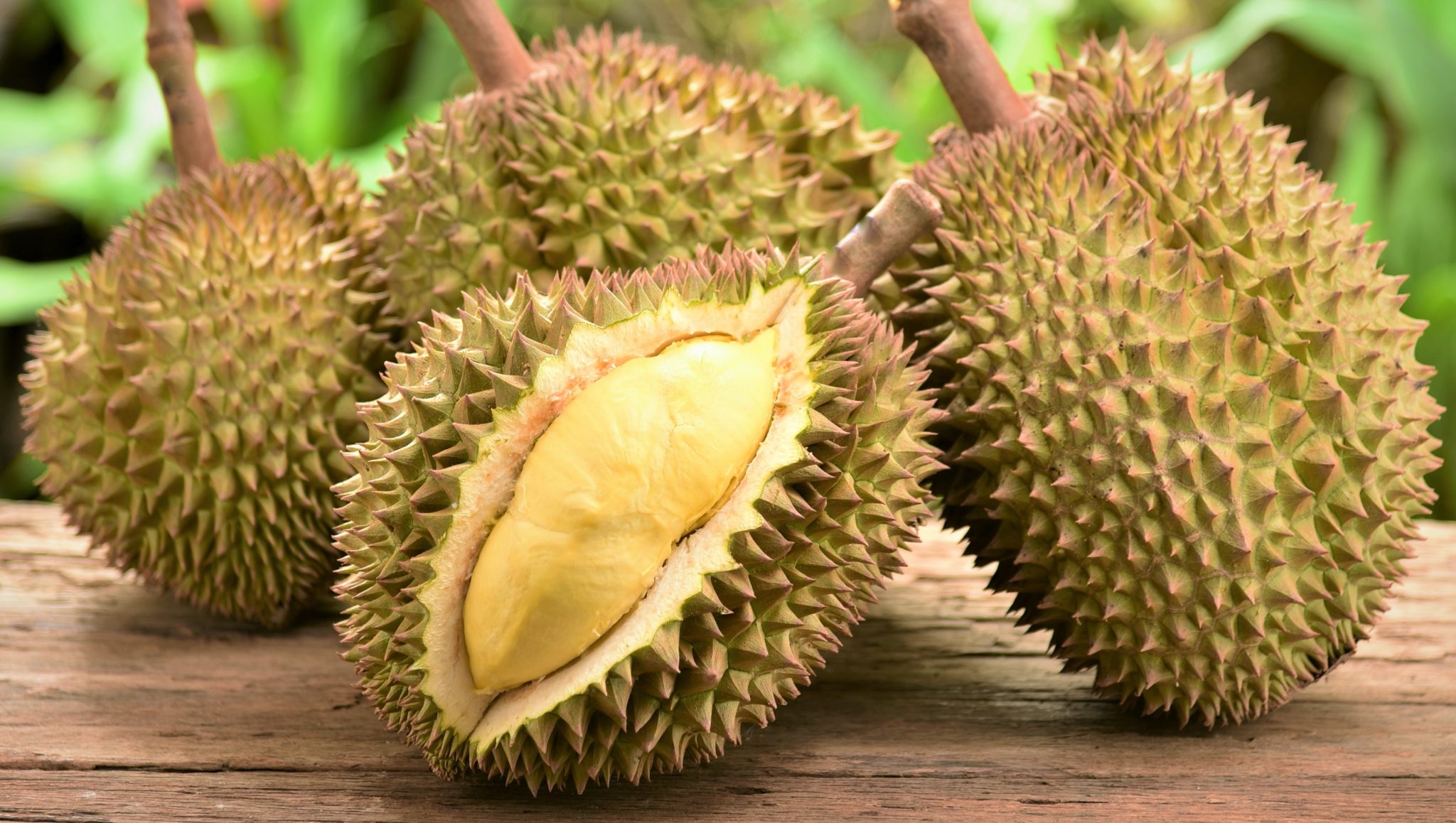 Marang: A Pungent But Delicious Tropical Fruit